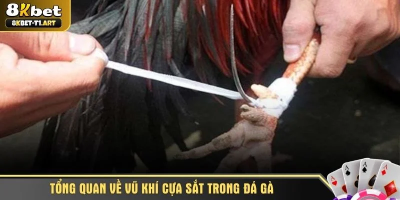 Tổng quan về vũ khí cựa sắt trong đá gà